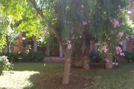 Guest house Riad Palmier Fleuri Marrakesh