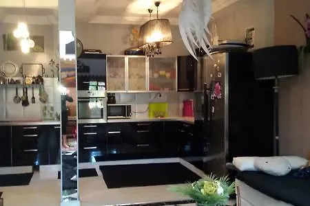 Guest house Riad Palmier Fleuri Marrakesh Morocco