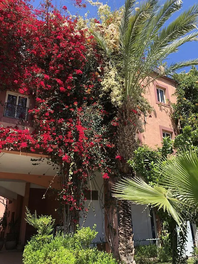 Guest house Riad Palmier Fleuri Marrakesh