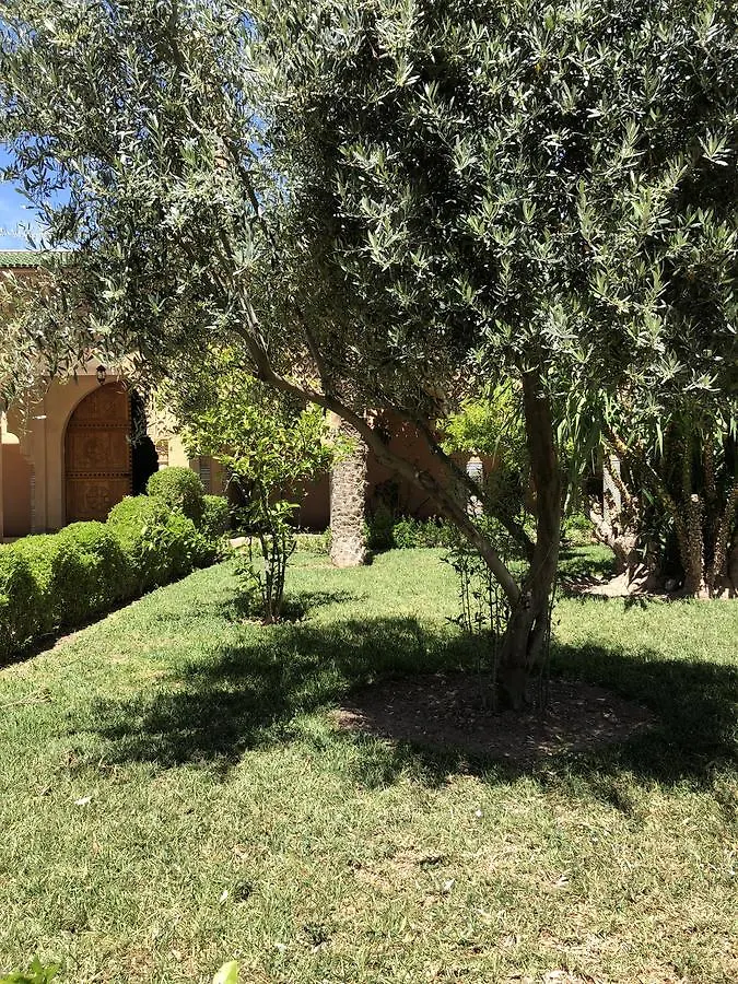 Riad Palmier Fleuri Marrakesh Guest house